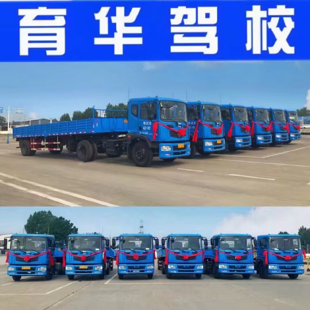 石家庄育华驾校教练怎么样